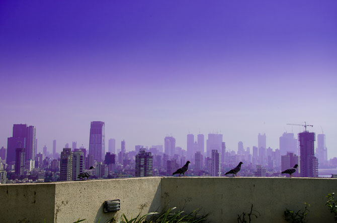Dechberoucí indická metropole: Bombaj.