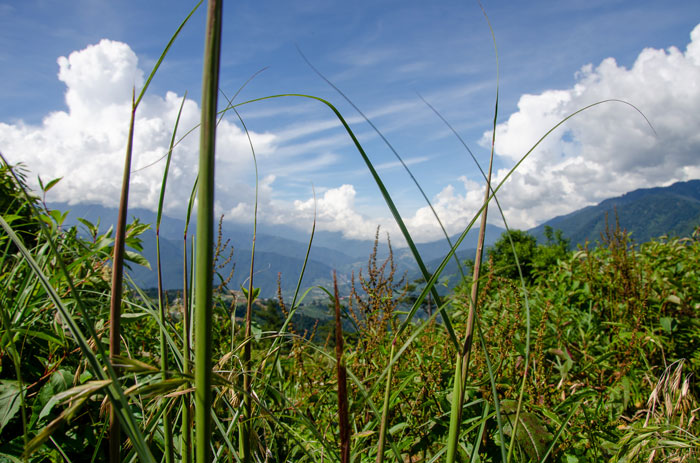 Green mountains with blue sky, white clouds at the background, and green grass at the front (Taiwan's landscape).